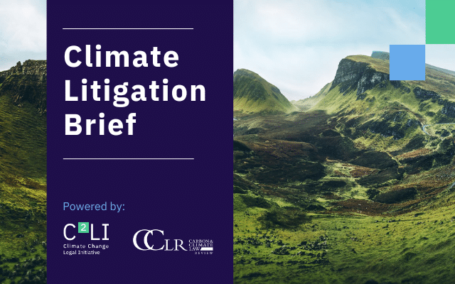 Climate Litigation Brief - Blog Overview C2LI Litigation Brief 1