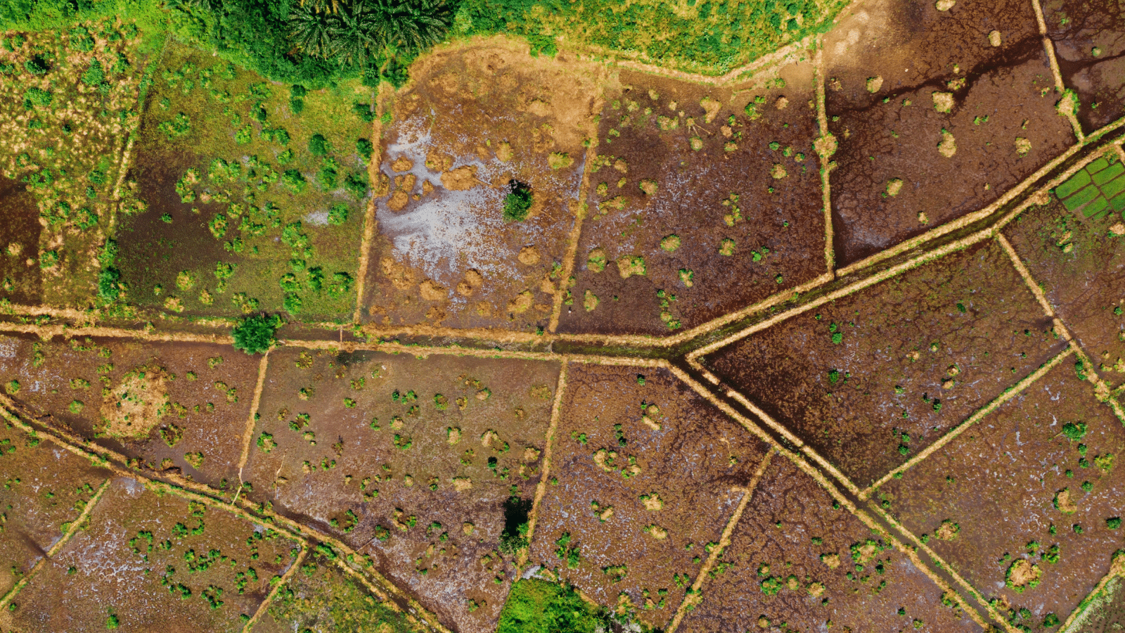 Lease of Public Land - State Aid Uncovered photos 41